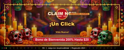Discover the Best Online Slots
